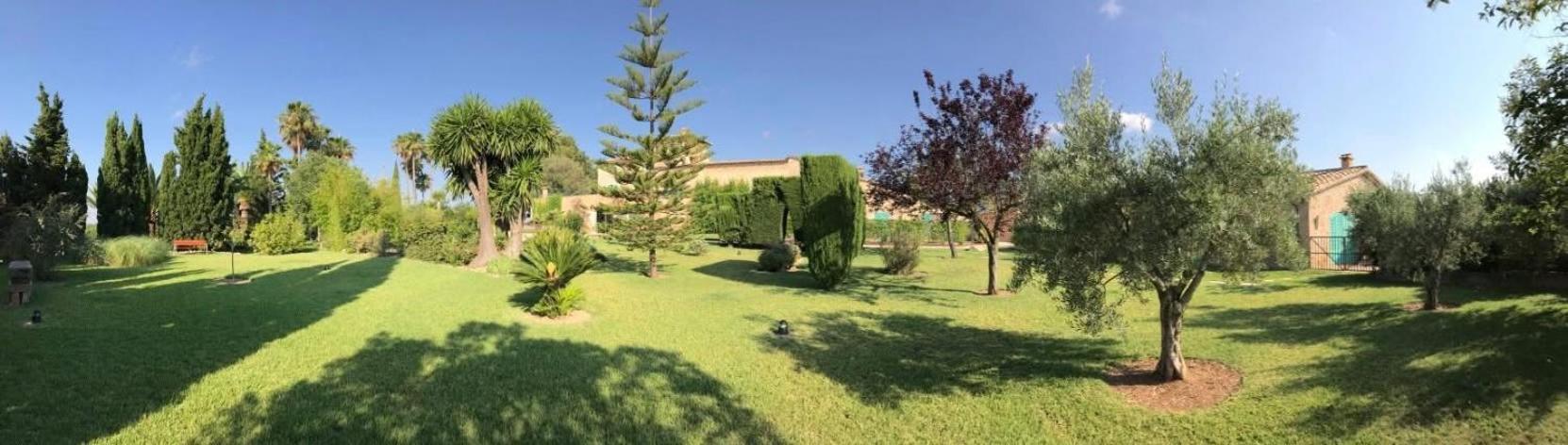 Sa & - Adults Only Hotel Consell